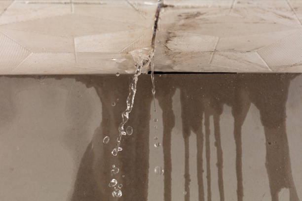 Professional Burst Pipe Cleanup technician working in Erin, TN